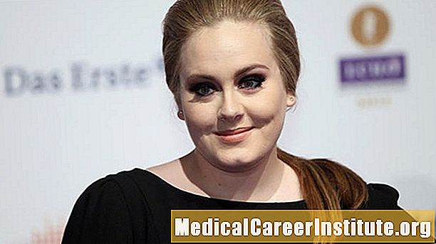 Adele, Vocal Cord Hemorrhage Nedeniyle ABD Turunu İptal Etti