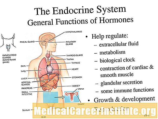 Endocrine Disruptors को बारे मा चिन्तित हुनुहुन्छ?