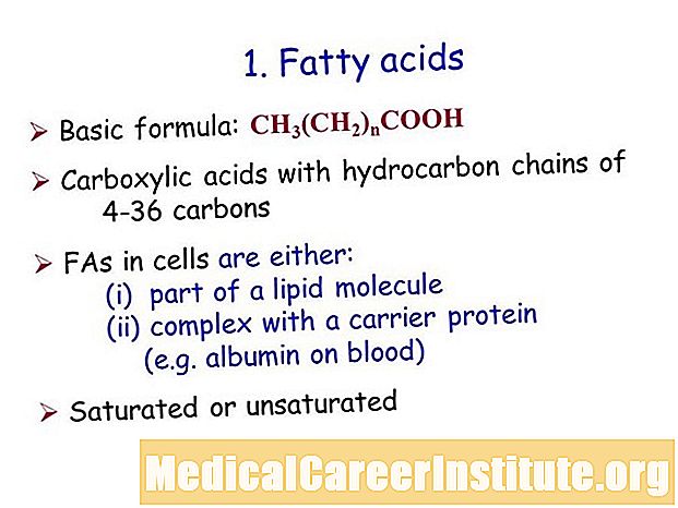 Ama-fatty acids avela ekudleni noma ekunceliseni ibele angakhuthaza ukukhula kwengqondo