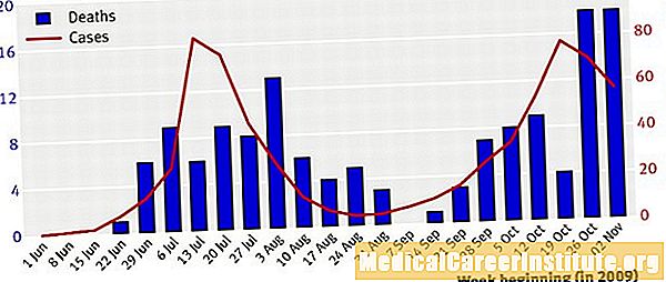 H1N1 Swine Flu Peak yn de FS?