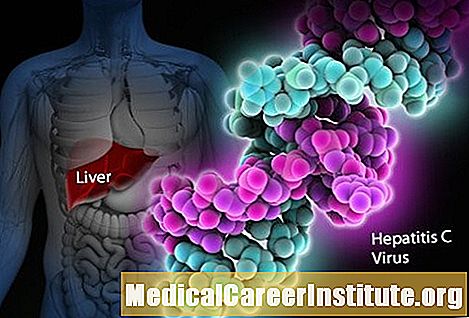 Hepatitis C (Hep C) symptomer og behandling