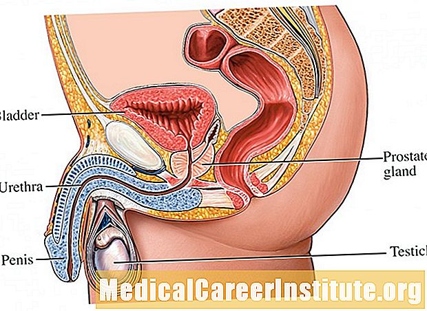 Điều trị không dao mổ cho tuyến tiền liệt mở rộng