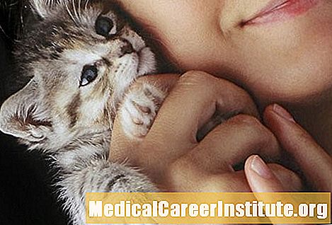 Prezentace: Pet Health - Péče o vaše kotě