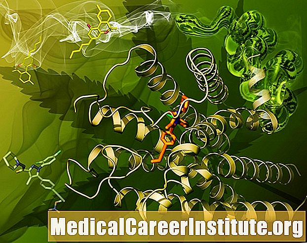 Faʻatulagaina o le muamua cannabinoid receptor faʻaalia