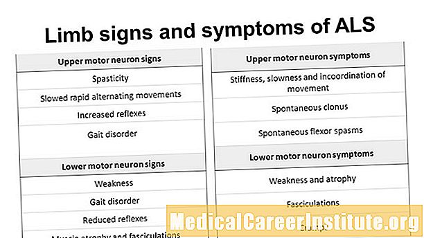 Symptoms and Signs of Motor Disorder