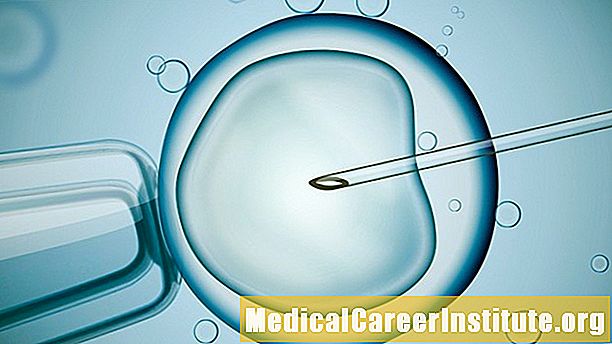 Onay İçin 'Üç Ebeveyn IVF' Tekniği Seti