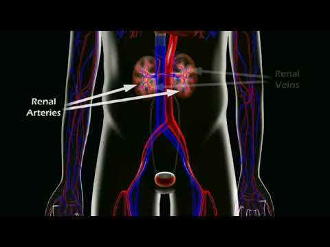 The Risks of Gadolinium (Contrast Dye)