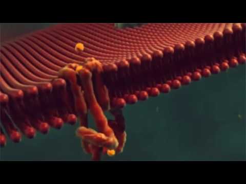 Kalydeco (ivacaftor) for Cystic Fibrosis