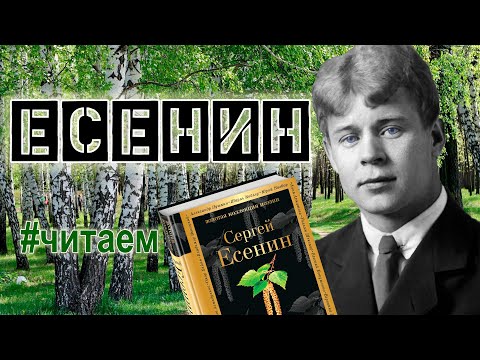#Читаем Есенина. "Грубым дается радость", "Песнь о собаке"