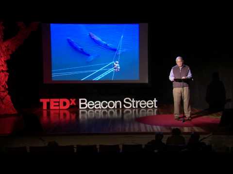 Attend the Whale Song: Roger Payne at TEDxBeaconStreet