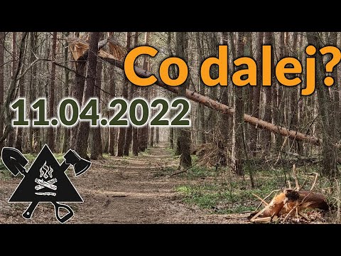 Q&A + aktualizacje w kontekście wojny i nie tylko, 11.04