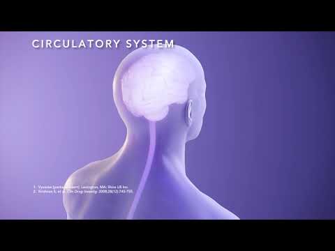Vyvanse® (lisdexamfetamine dimesylate) for ADHD Mechanism Of Delivery