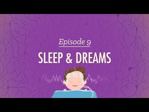 Om te slapen, Perchance naar Dream - Crash Course Psychologie # 9
