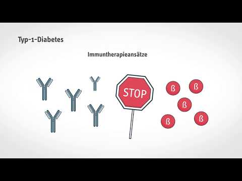 Kurz und verständlich: Typ-1-Diabetes früh erkennen und vorbeugen
