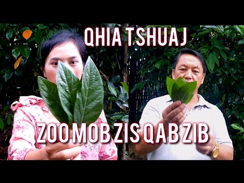 qhia tshuaj zoo mob zis qab zib (ຢາດີເບົາຫວານ)thiab tshuaj zoo ntshav siab
